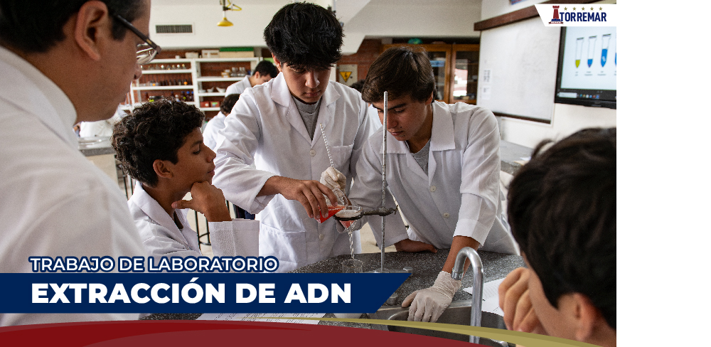 Trabajo de laboratorio: Extracción de ADN
